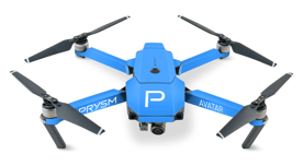 prysm-avatar-skin-v1(2)