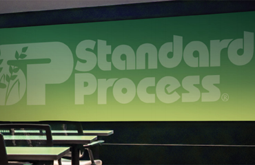 Standard-Process_Case-Study_Feature-Img