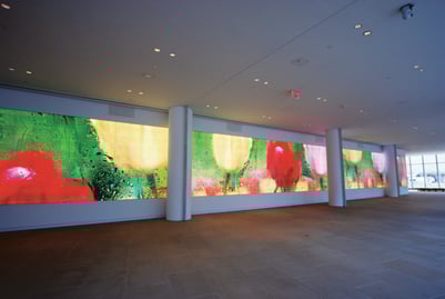 IAC (InterActiveCorp), Lobby